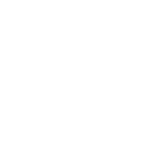 Poni Marine
